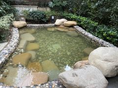 -天目湖涵田半山温泉