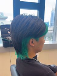 -GANO HAIR 