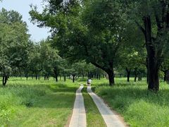 -承德避暑山庄景区