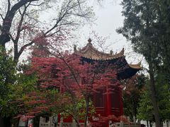 -西安碑林博物馆