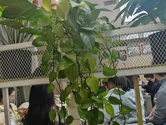 -楚鱼王·河鲜·湖北菜(华农店)