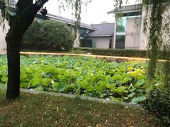 -绍兴鉴湖君澜大酒店