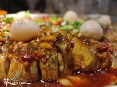 -鱼酷活鱼烤鱼(昆明路店)