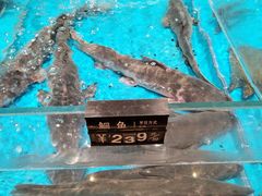 -艳阳天·非遗楚菜(武汉客厅店)