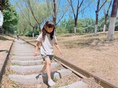 -永定河休闲森林公园