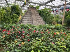 -南宫五洲植物乐园