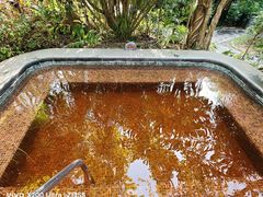 -广州都喜泰丽温泉度假酒店