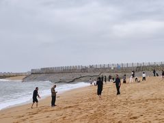 -日照世帆赛基地