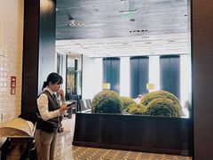 -广州文华东方酒店·悦铂尼西餐厅