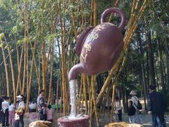 -金山植物公园