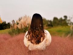 -白鹭湾湿地公园