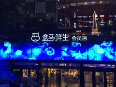 -盒马鲜生(杭州运河上街店)