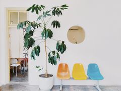 大堂-木麻黄cafe