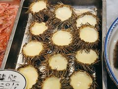 -船泊丽港(统一路店)