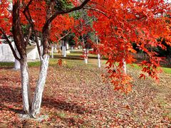 -长春世界雕塑园冰雪艺术天地