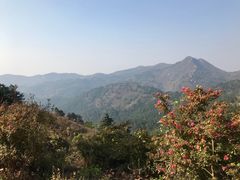 -木兰云雾山
