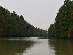 -上海海湾国家森林公园