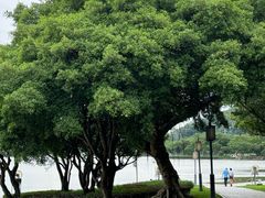 -顺峰山公园