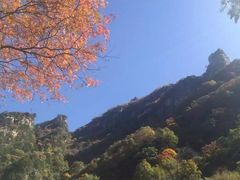 -青峰峡国家森林公园