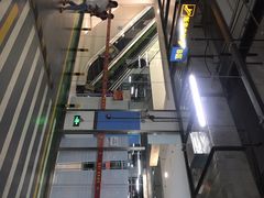 -信誉楼(新乐店)