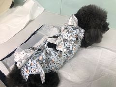 -达爱动物医院·犬猫分区·CT·复杂眼科(远洋山水分院)
