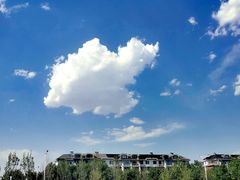 -HUG·拥抱咖啡(郑州宝龙广场店)