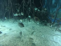 -福州罗源湾海洋世界旅游区