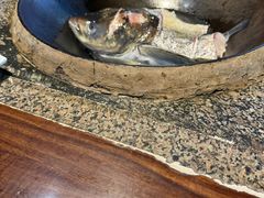 -好灶头妈妈菜·柴火灶台鱼·千岛湖土菜地标美食