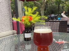 -Boxing Cat Brewery拳击猫精酿啤酒馆(思南公馆店)