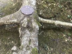 -刘伯温故里景区百丈漈