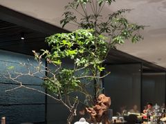 -曲水兰亭(北京四惠店)