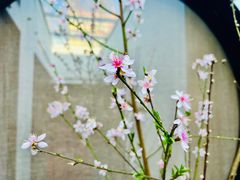 -晟永興烤鸭店(五道口店)