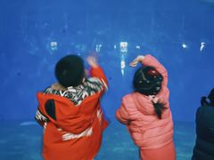-泉城欧乐堡海洋极地世界