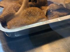 -洪记白水羊头(天坛店)