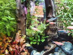 -Rabbit Cafe私房西餐甜点咖啡(栖霞路店)