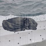 北京看展 | 此时此刻 与时间同行