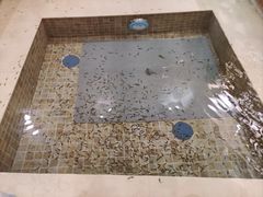 -中家鑫园温泉酒店鑫悦汤泉