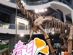 -辽宁古生物博物馆