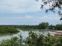 -东寨港红树林旅游区