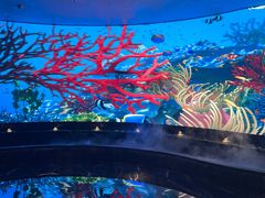 -唐宫足道·SPA·住宿24H会所(木渎店)