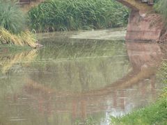 景点-西昌邛海湿地