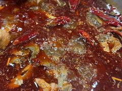 -金鼎雪山牦牛杂火锅(理县总店)