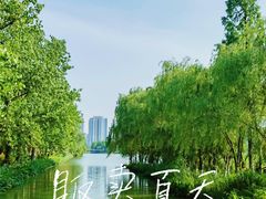 -洋湖国家湿地公园