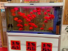 -龙华素斋(龙华路店)