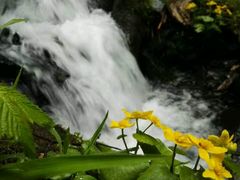 景点峡谷景色-凤凰山国家森林公园
