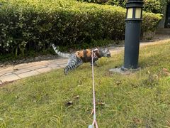-南通鹏欣花园国宾酒店