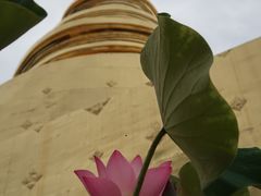 -帕辛寺