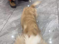 -宠颐生宠物医院·综合诊疗(先锋分院)