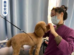 -宠颐生宠物医院·犬猫全科·皮肤科(商业街店)