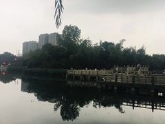 -莲湖公园